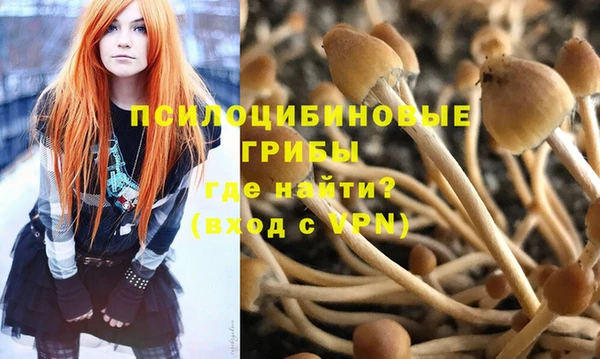кокс Ладушкин
