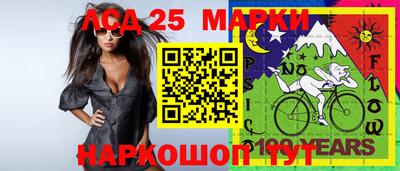 дурь Берёзовский