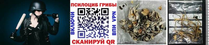 Псилоцибиновые грибы мухоморы Корсаков