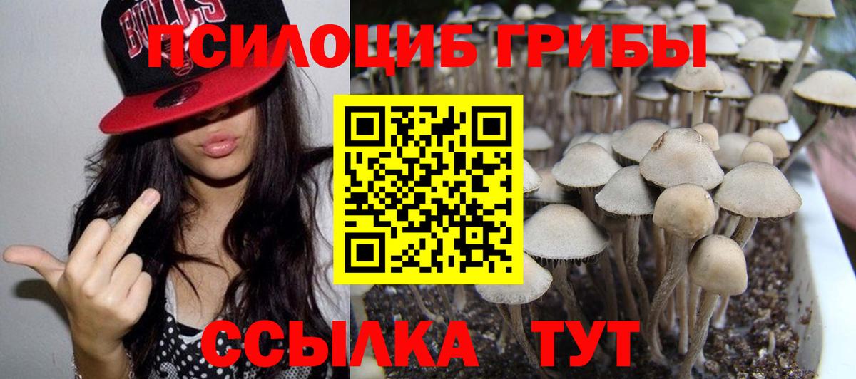 Галлюциногенные грибы Psilocybine cubensis  Корсаков 