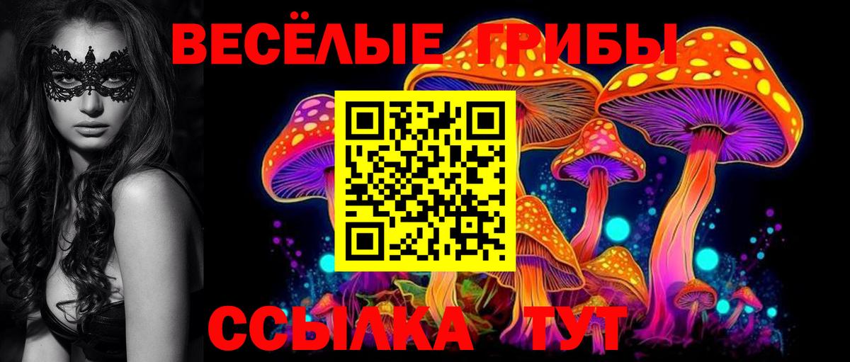 Псилоцибиновые грибы Psilocybine cubensis Корсаков