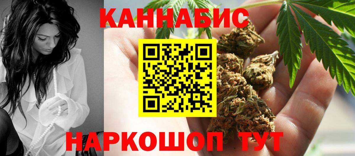Канабис сатива Корсаков